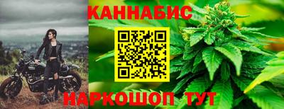 прущие крисы Кулебаки