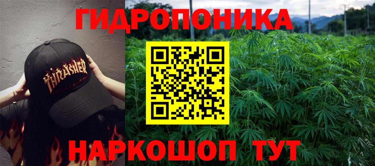 Конопля MAZAR Среднеуральск